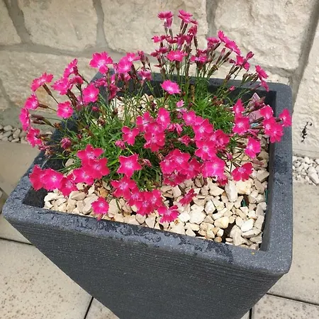 דירה Waterview W Pool מימיצה