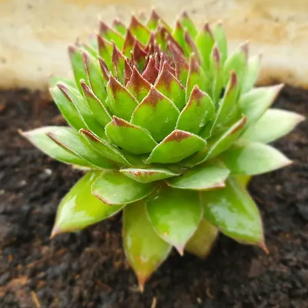 דירה Waterview W Pool מימיצה