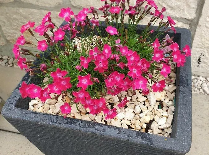 Apartment Waterview W Pool Mimice